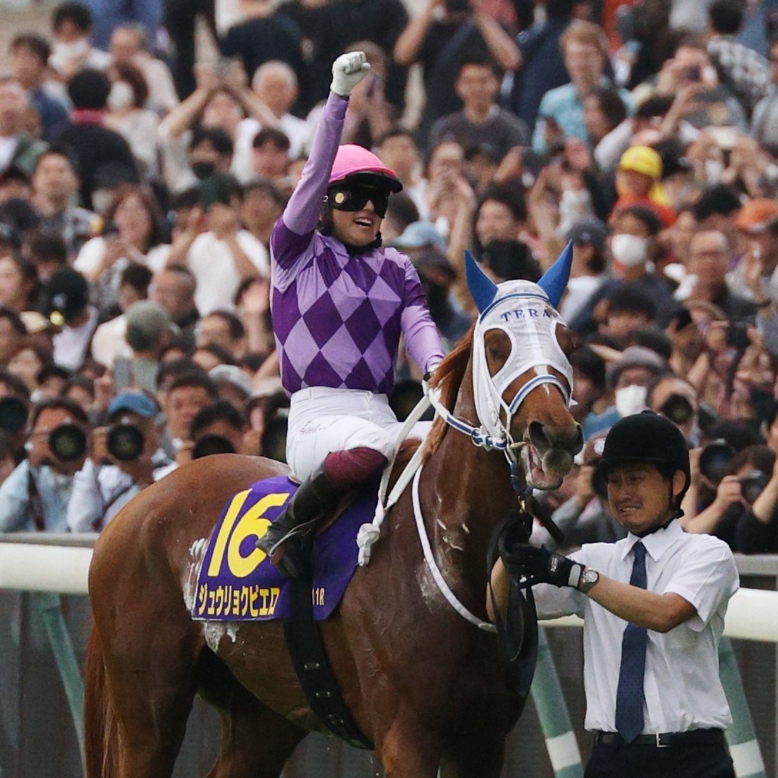 JRA-VAN公式 tweet media