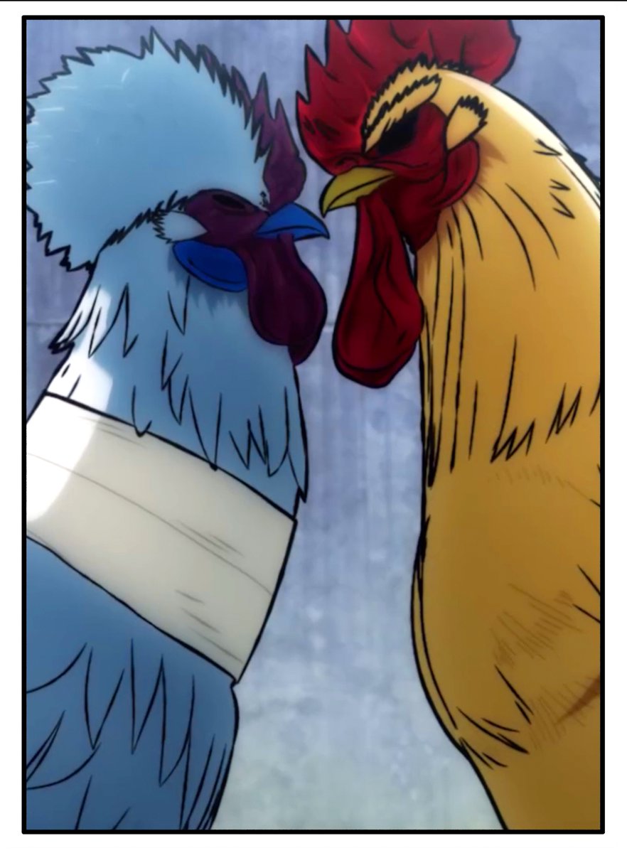 桜谷シュウ 『ニワトリ・ファイター』 Rooster Fighter 第12巻 発売中！！ tweet media