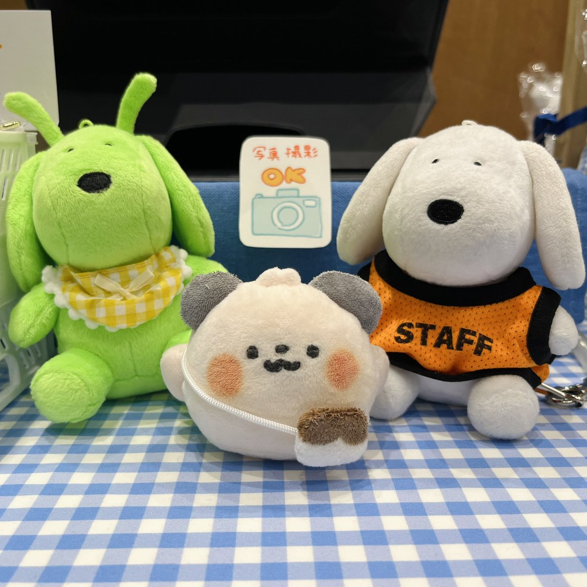 bableawa's tweet photo. イヌくんたちと写真撮影して📸✨
かわいいリボンを手に入れて🎀🩵
ぽてまるもごきげん🐹 https://t.co/zp8pUoXgey