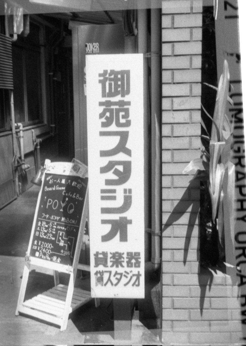 matasuke1972's tweet photo. ポケットカメラで。

#新宿御苑
#ロモグラフィーフィルム
#キャノン110e https://t.co/PDeGpVwyl9