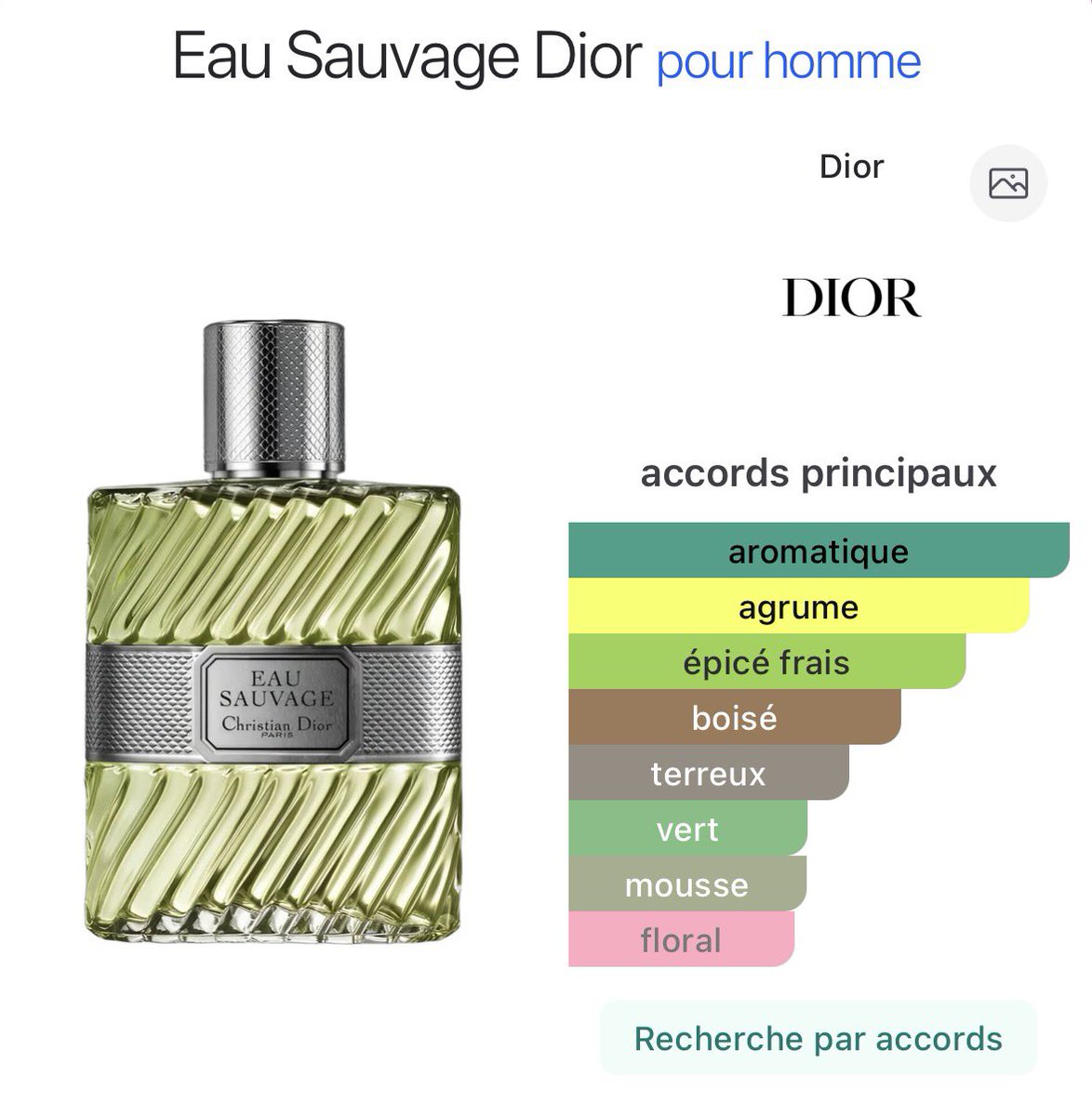 Fragrance Aesthetics tweet media