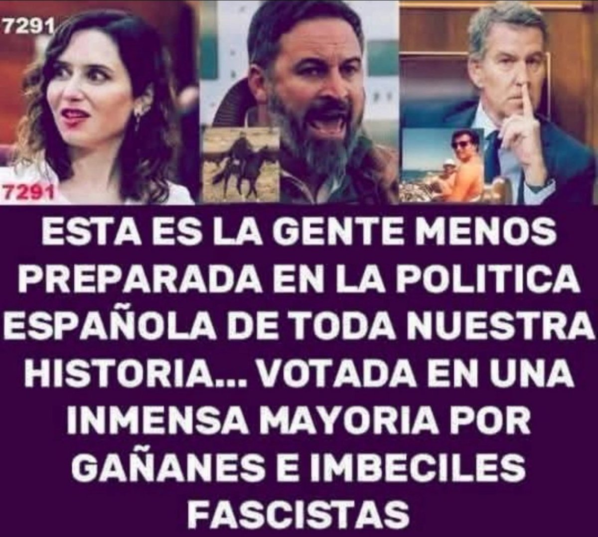 Bigotes y Botellas tweet media