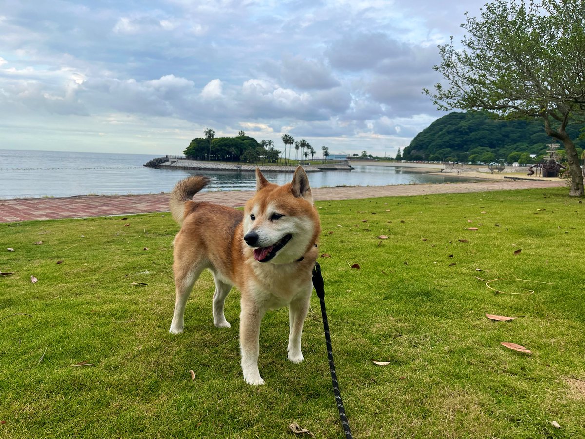 海が涼しくて気持ちいい