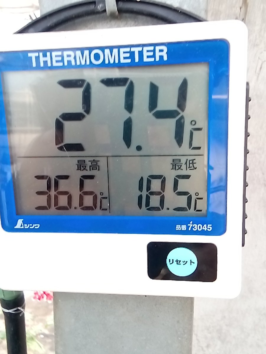hidehide2457's tweet photo. 最高最低温度🍀🌤️
平年値21~25日25.7℃14.2℃
ハウス内36.6℃18.5℃　外気36.8℃19.3℃
#天気温度 https://t.co/CGSWM03weB