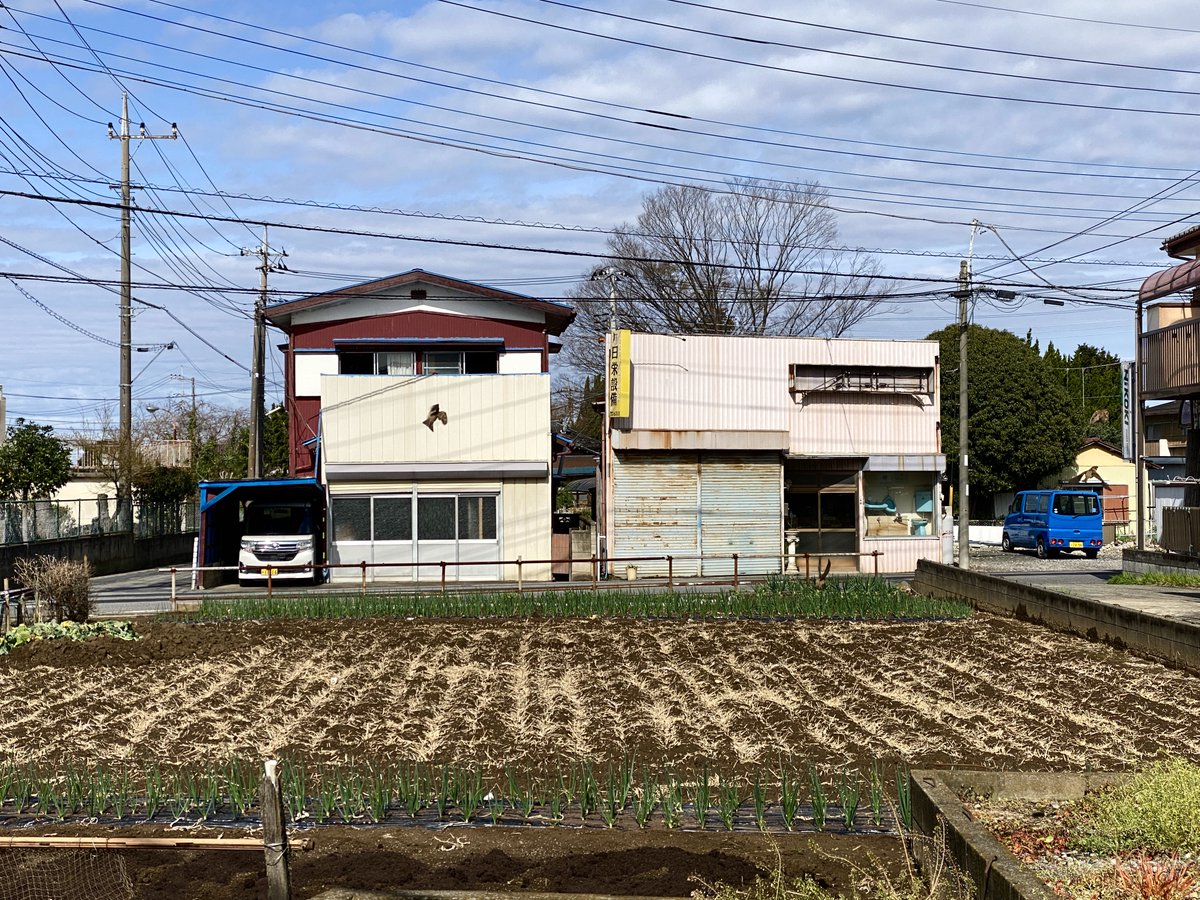 写真も忘れとるマン! tweet media