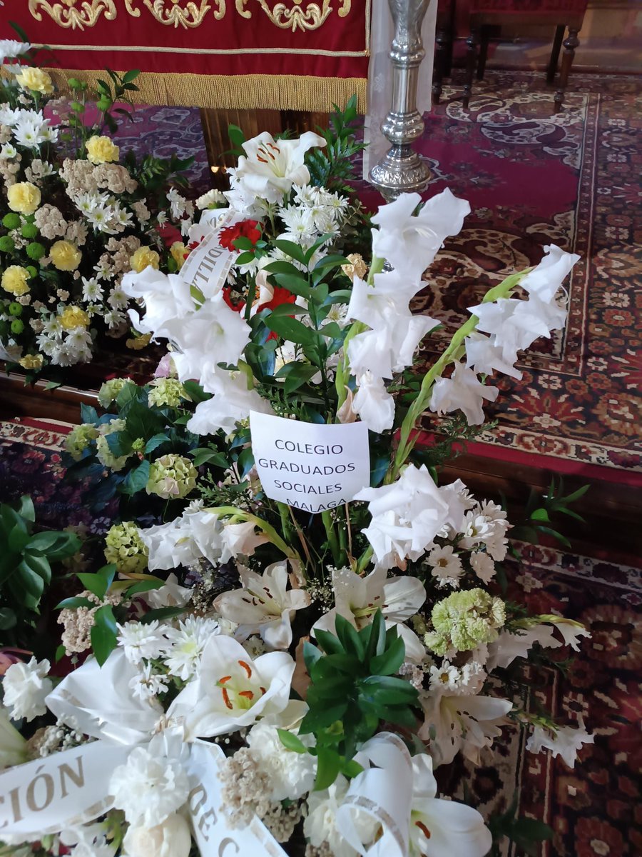 CACOGS's tweet photo. 🙏 Hemos acompañado al Señor de la Salud y de las Aguas y Ánimas en su solemne salida procesional en Antequera, reafirmando el histórico vínculo con esta arraigada tradición
📰 Más información:
https://t.co/xqTiy7JpP3
#GraduadosSociales #ConsejoAndaluz #Antequera #SeñorDeLaSalud https://t.co/kvDv710mhd