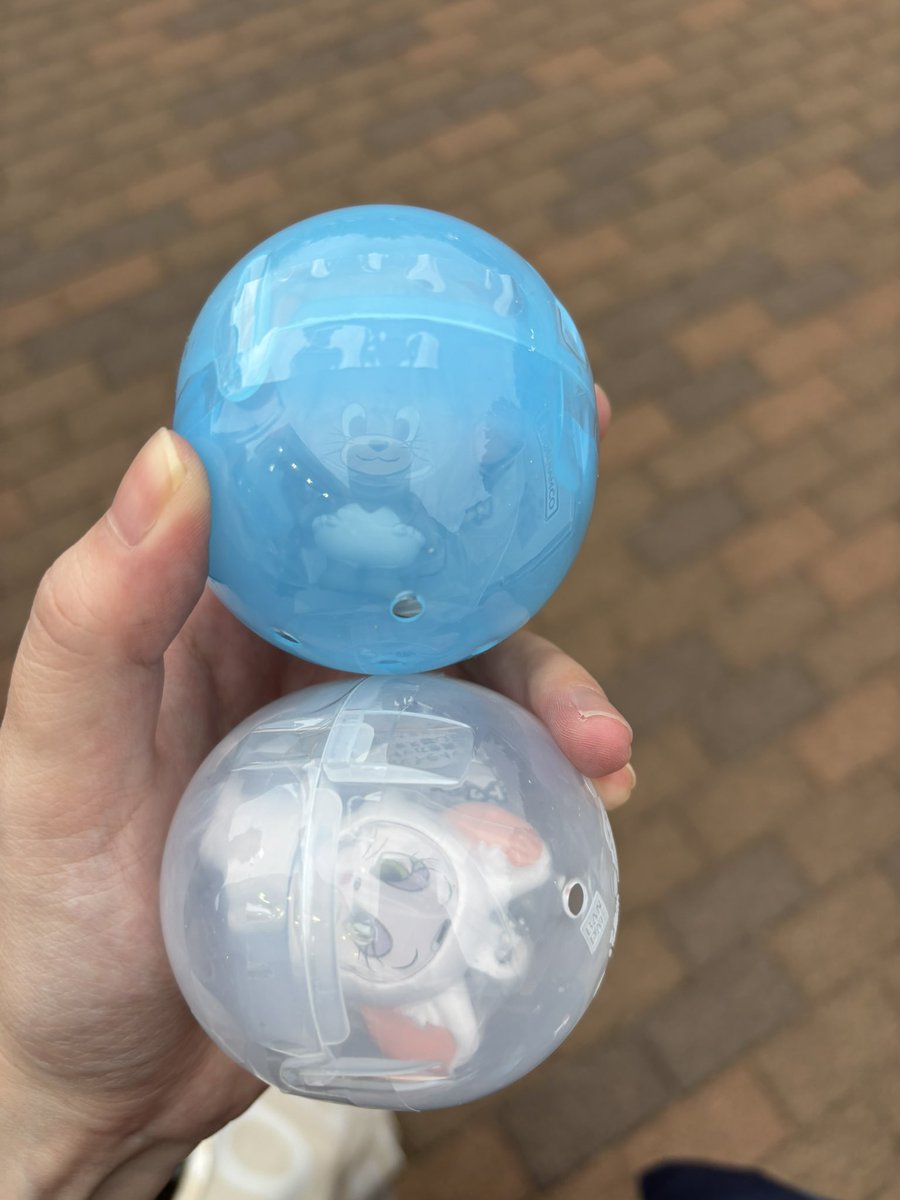 m__pomme8's tweet photo. トムとジェリー　ガチャ　交換

【譲】　タフィー
　　　トゥードルス

【求】　トム　ジェリー

郵送での交換希望です

タフィー、トゥードルス各2セットあるので、2セットとトム、ジェリー1セットの交換も可能です🙇‍♀️ https://t.co/pLZPkyqJpo