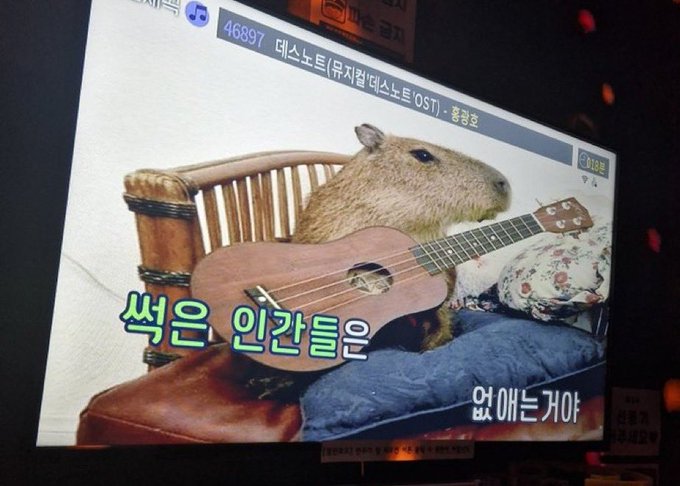 사비크 tweet media