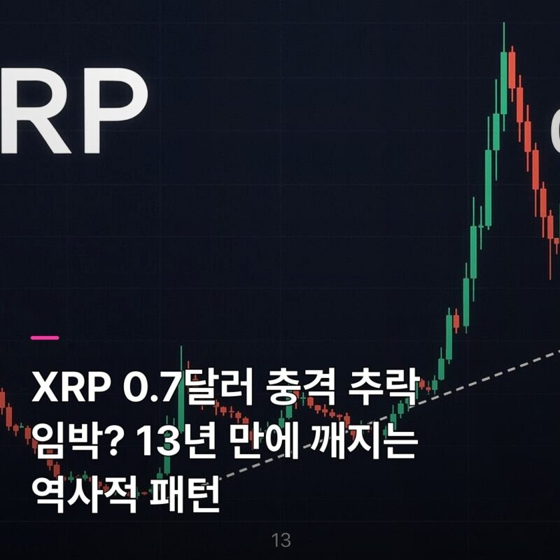 하이프경제 tweet media