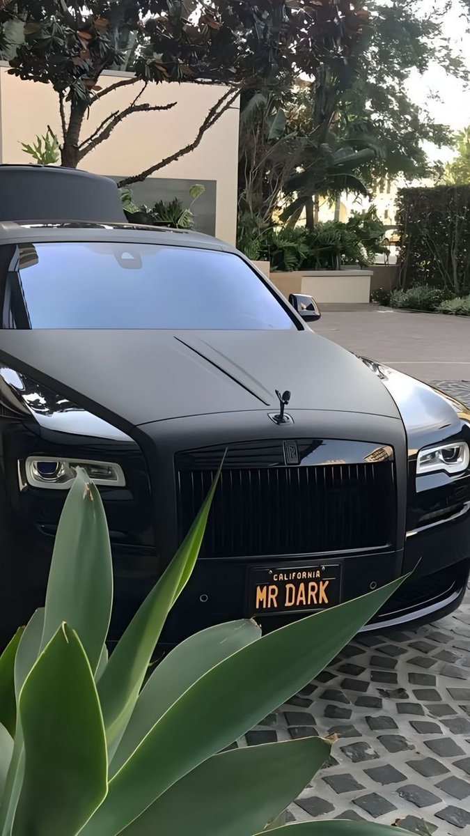 Elite Carsgasm tweet media