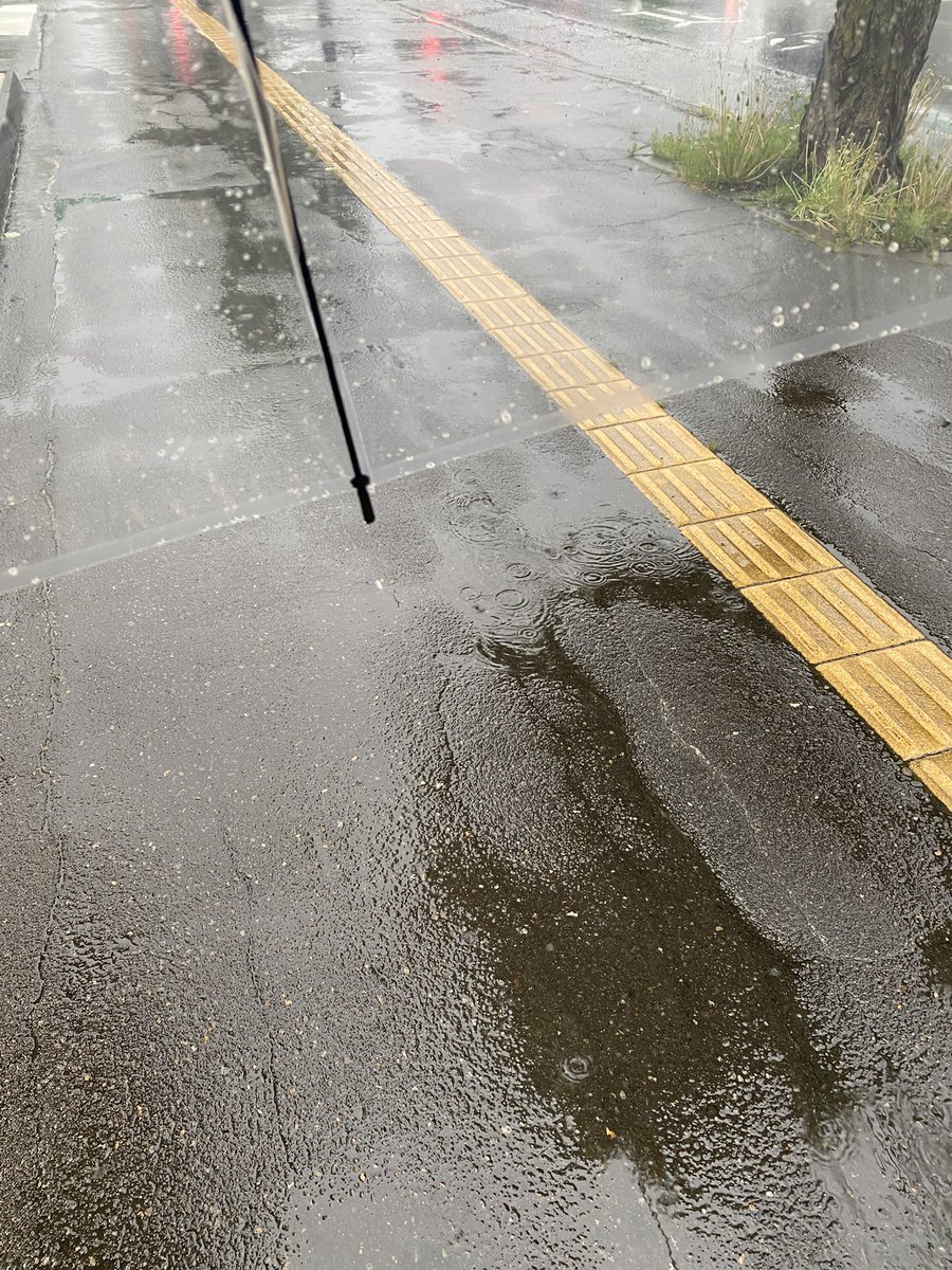 にこ tweet media