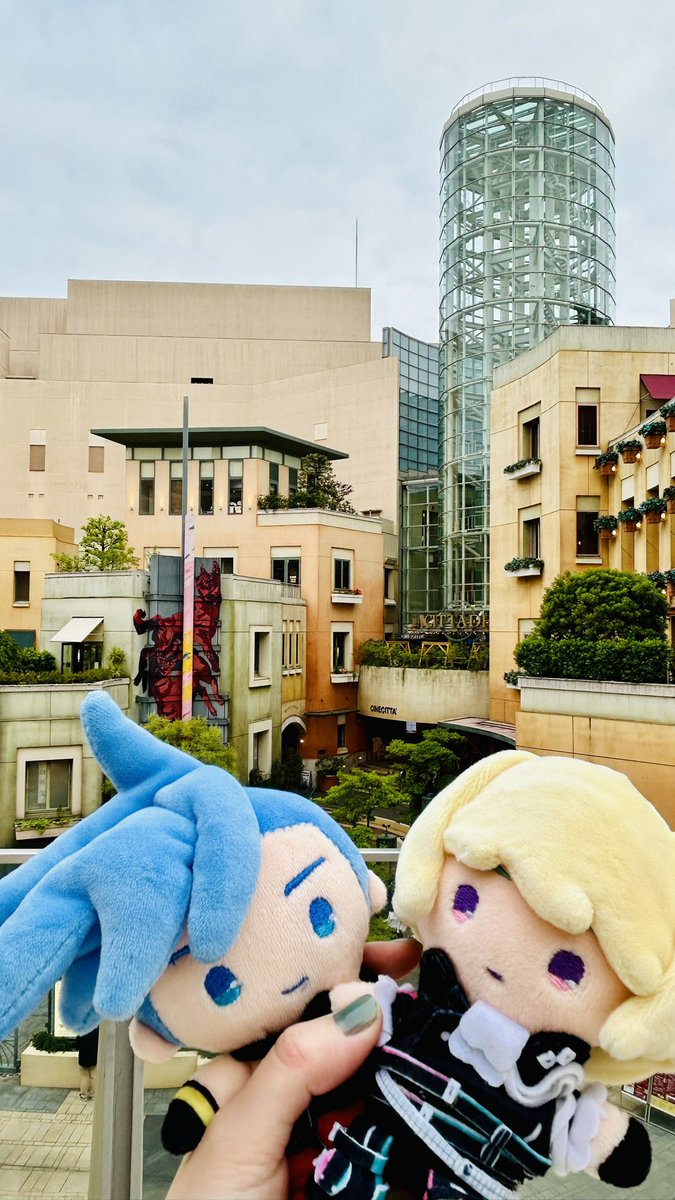 白椿サラ🧸原稿中 tweet media