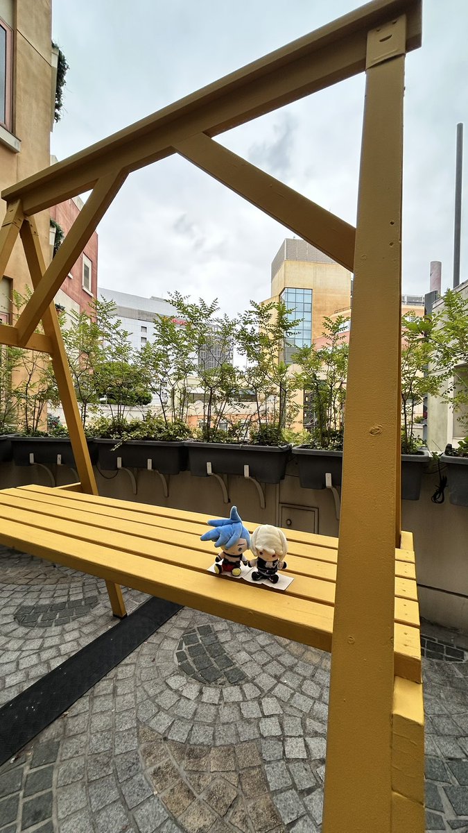 白椿サラ🧸原稿中 tweet media