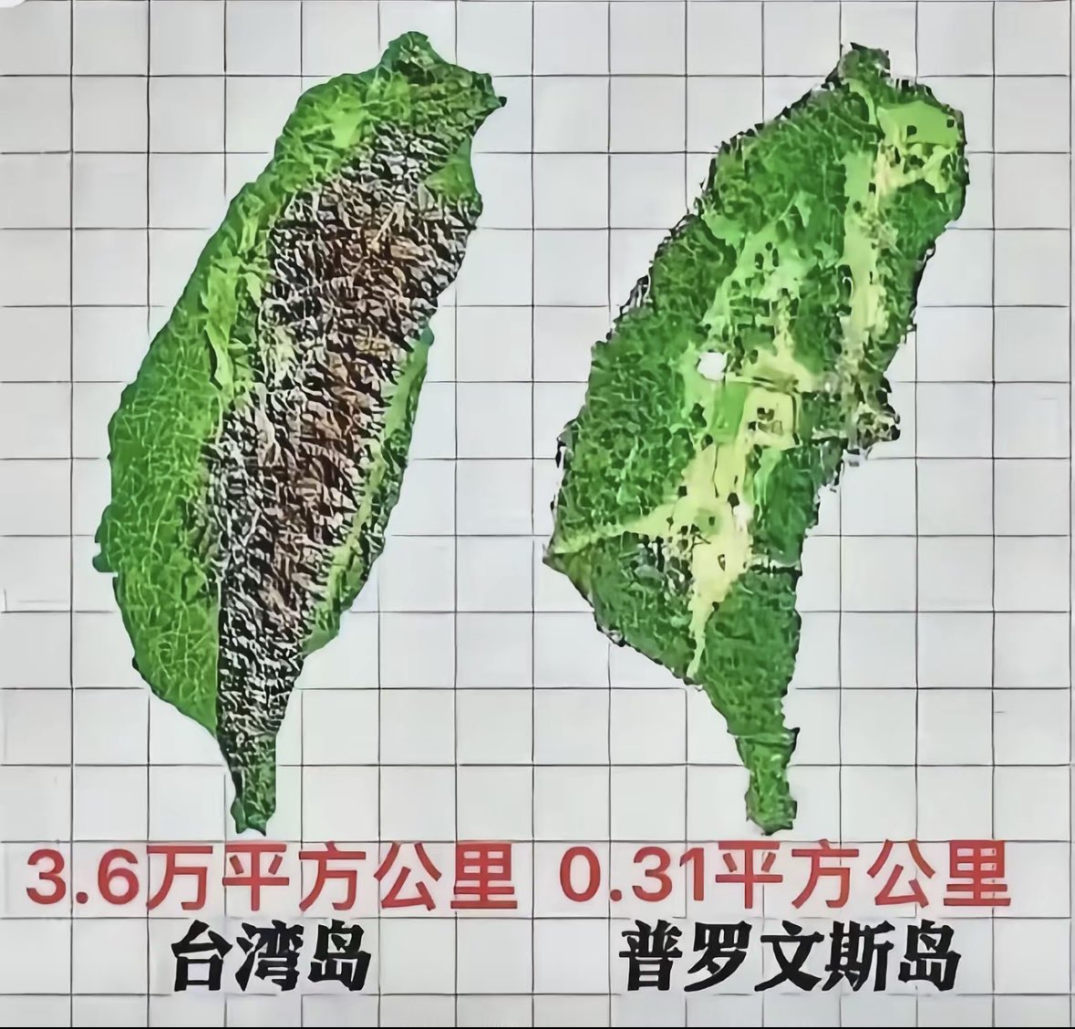 番茄大叔🇨🇳 tweet media