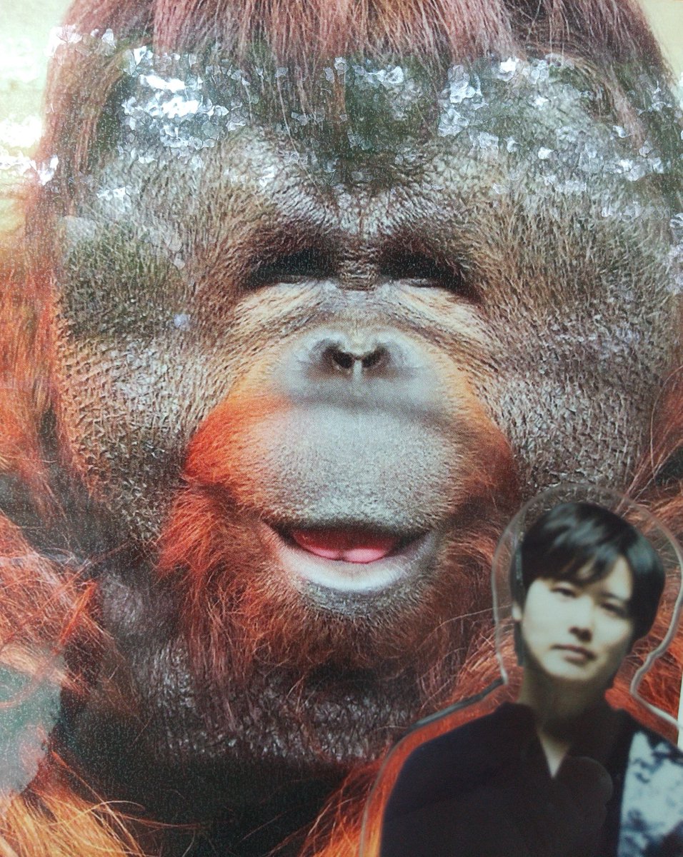 yoppi☺︎🌛 tweet media