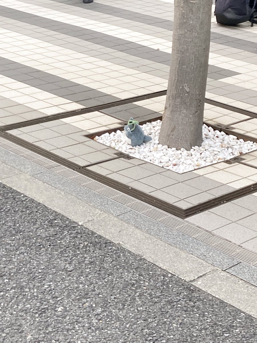 しーく tweet media