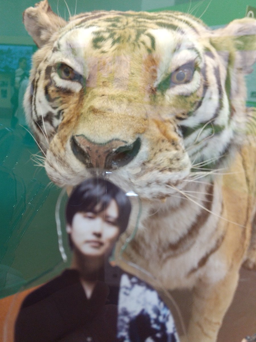 yoppi☺︎🌛 tweet media