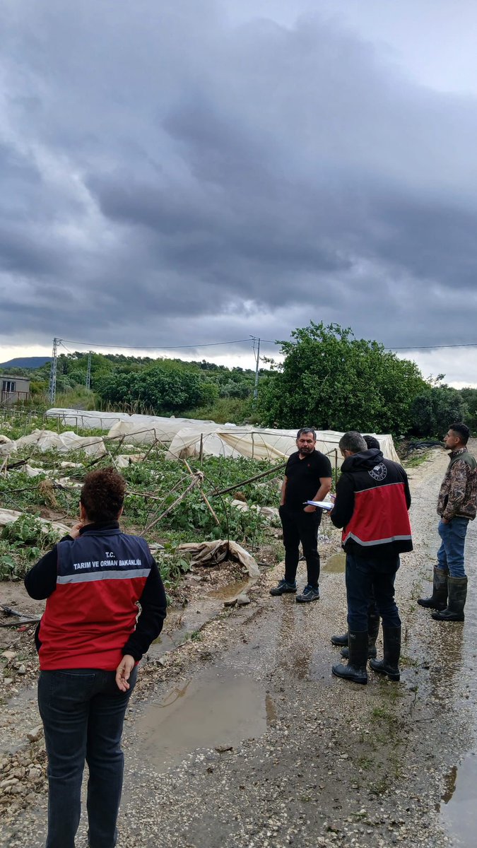 Abdurra33831811's tweet photo. Aşırı yağıştan zarar gören üreticilerimizin zarar ziyan tespitleri  mesai Mefhumu gözetmeksizin ekiplerimiz tarafından hafta sonuda yapılmaktadır.
@ibrahimyumakli 
@TCTarim 
@HatayValiligi https://t.co/ToMfe1zFBL