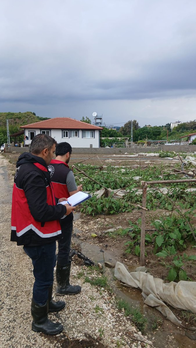 Abdurra33831811's tweet photo. Aşırı yağıştan zarar gören üreticilerimizin zarar ziyan tespitleri  mesai Mefhumu gözetmeksizin ekiplerimiz tarafından hafta sonuda yapılmaktadır.
@ibrahimyumakli 
@TCTarim 
@HatayValiligi https://t.co/ToMfe1zFBL