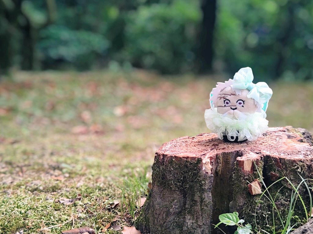 nekohagi🐾 tweet media
