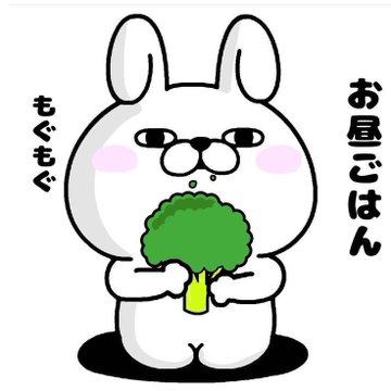 ハルとボンスはつんぷんかんぷつん・ε・ tweet media