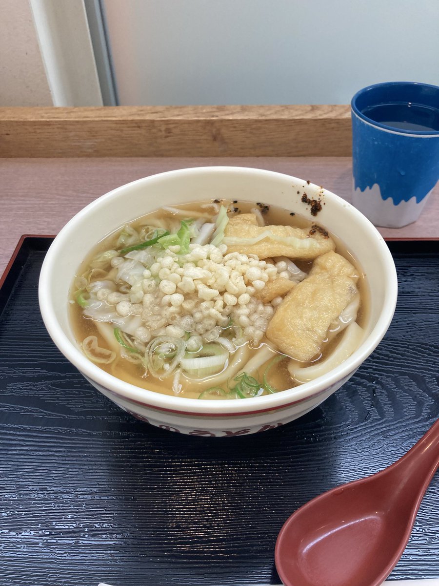 104_nb's tweet photo. 吉田うどんシリーズ。はうす→道の駅。はうすは大盛でもよいかもね、すりだねがかなり好み。道の駅は優しい吉田うどんですね、やり過ぎずで出汁も一般的。すりだねで激変、面白い。行動しないと、麺切れしてしまいますワ。 https://t.co/DwlSdK01x1
