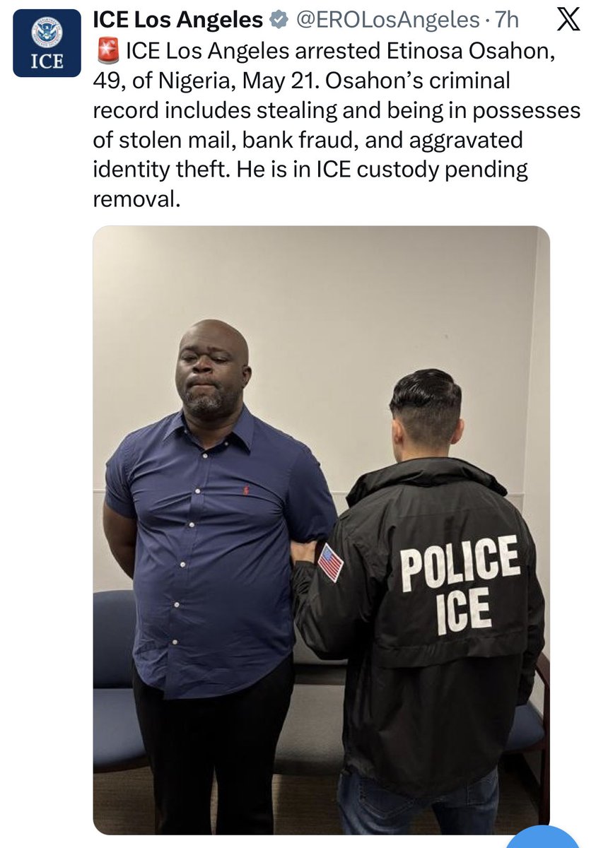 yknipg tweet media