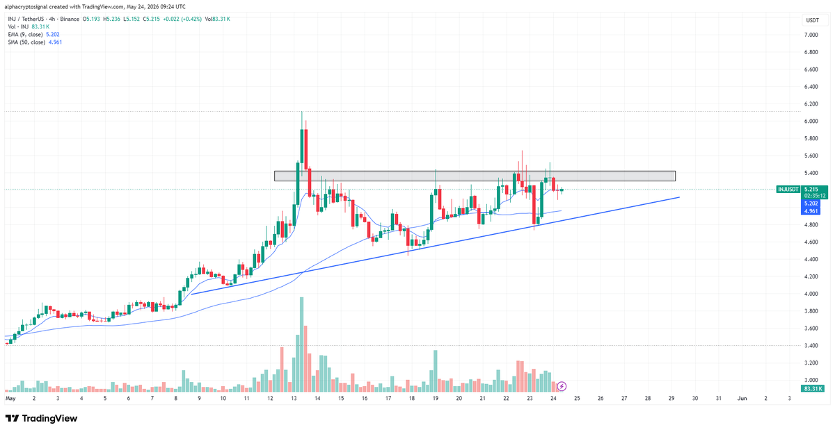 alphacryptosign's tweet photo. Thoughts on #INJ:

$INJ continues to respect a clean ascending triangle structure with rising higher lows pressing into a strong horizontal resistance zone. $INJ has been consolidating just below resistance while the trendline support keeps pushing upward, showing sustained bullish pressure and accumulation beneath the breakout level.

As long as $INJ holds the ascending trendline and short-term EMA support, the setup remains bullish. A confirmed breakout above the horizontal resistance would likely trigger momentum expansion and continuation toward higher levels. The longer $INJ compresses under resistance without breaking down, the stronger the breakout potential becomes.