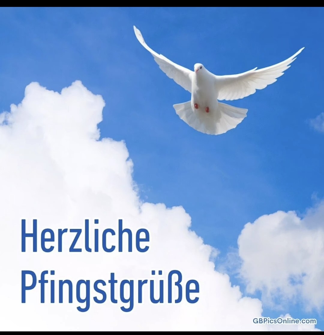 Chris Rombach-Welsch tweet media