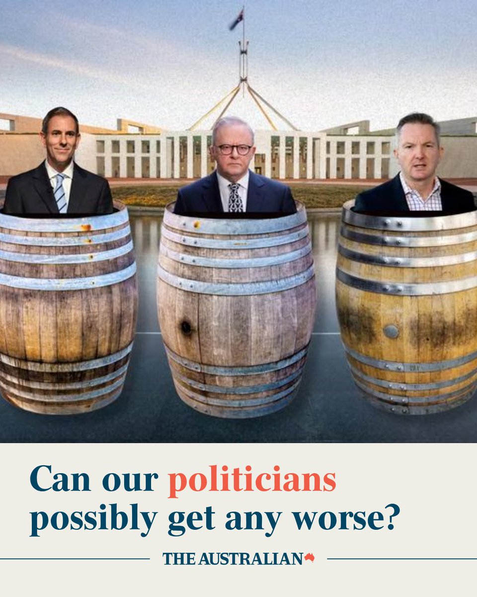 The Australian tweet media