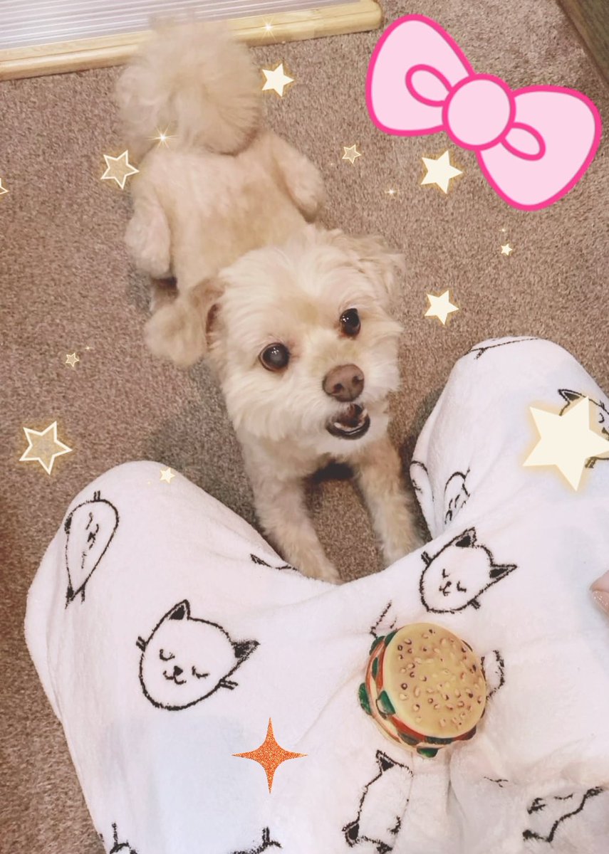 りり★草むしり検定5級 tweet media