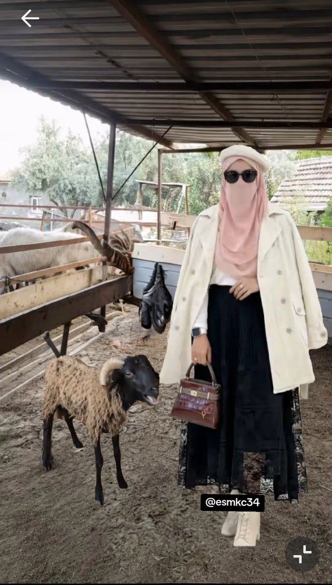 🇹🇷EsMa KoCa🇹🇷 tweet media