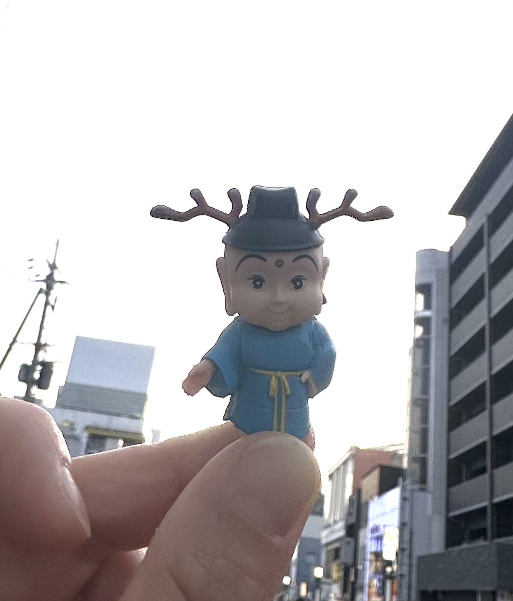 堂本 春 tweet media