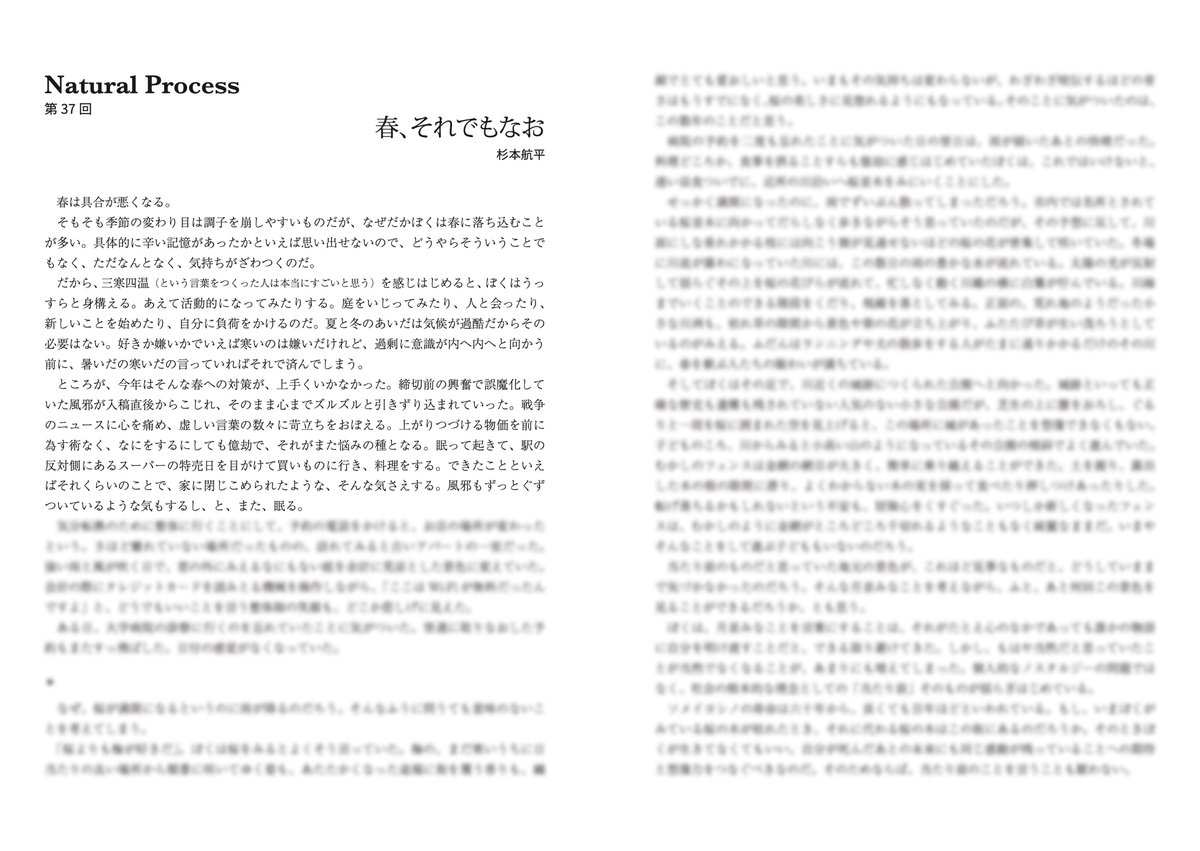 杉本航平/Kohei Sugimoto tweet media