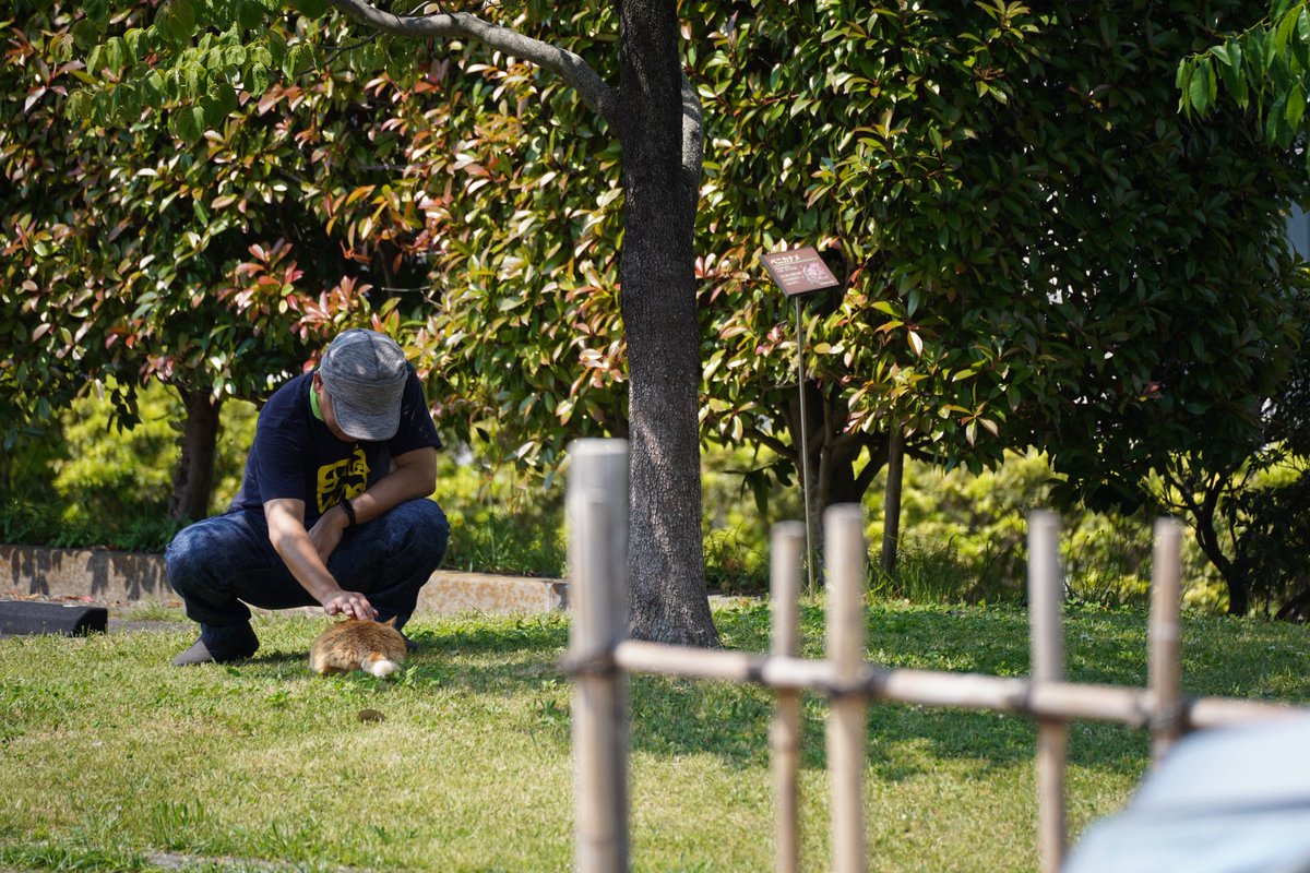 EbinaWind's tweet photo. せせらぎ祭りの出番前、あまりにも絵になっている団員がいたのでこっそり…📷 https://t.co/o5FjccBXDY