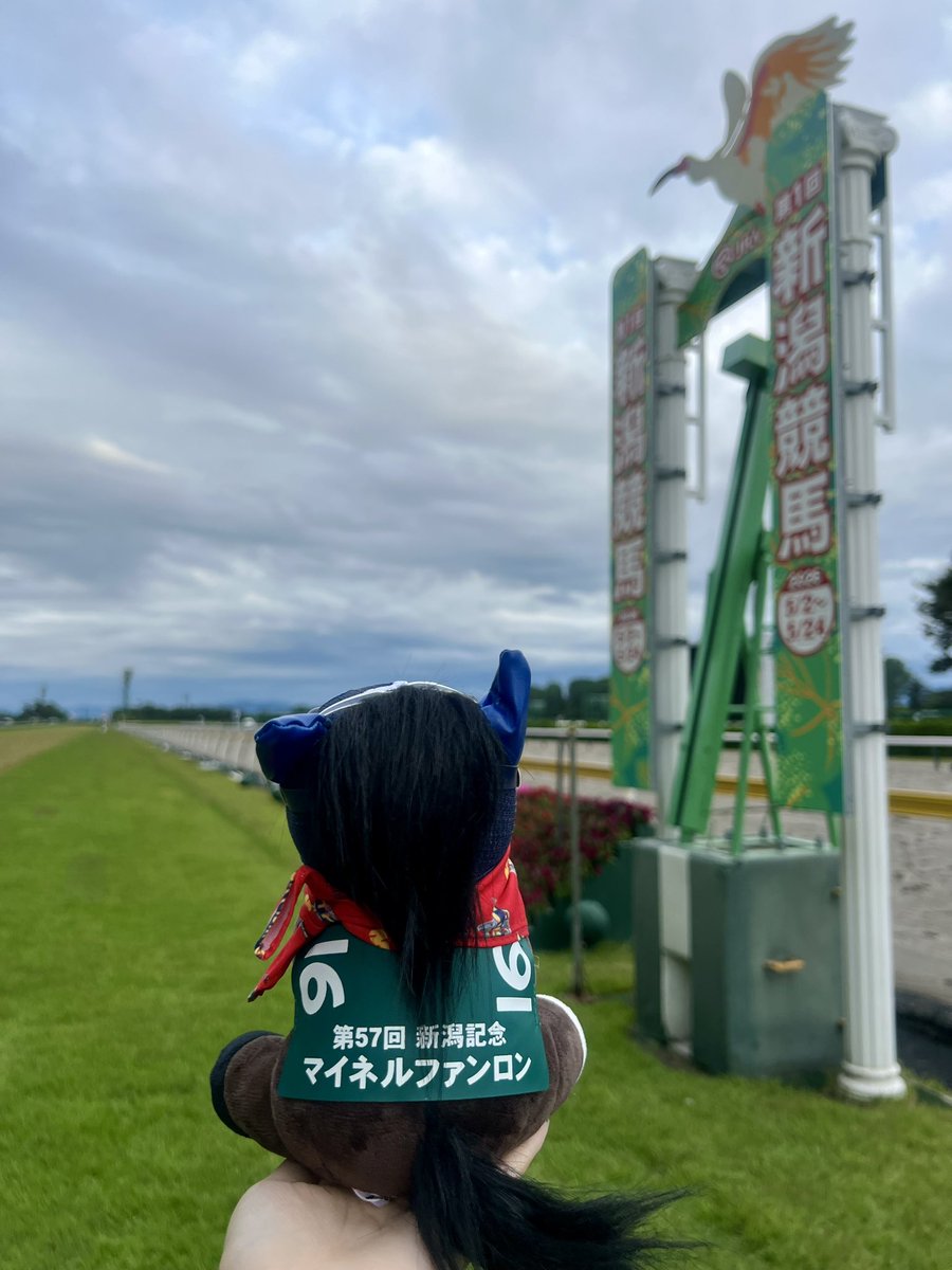 JRA新潟競馬場 tweet media