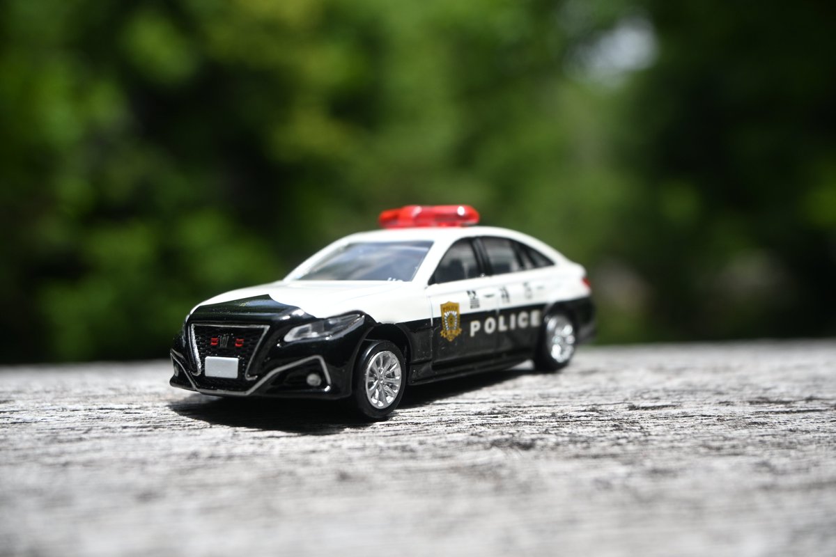 youplarail's tweet photo. 葛西臨海公園②
先日買ったパトカーとともに。
人が少なく、涼しさを感じる場所でした。
#トミカ #ミニカー #葛西臨海公園 https://t.co/tDUmvknkDP