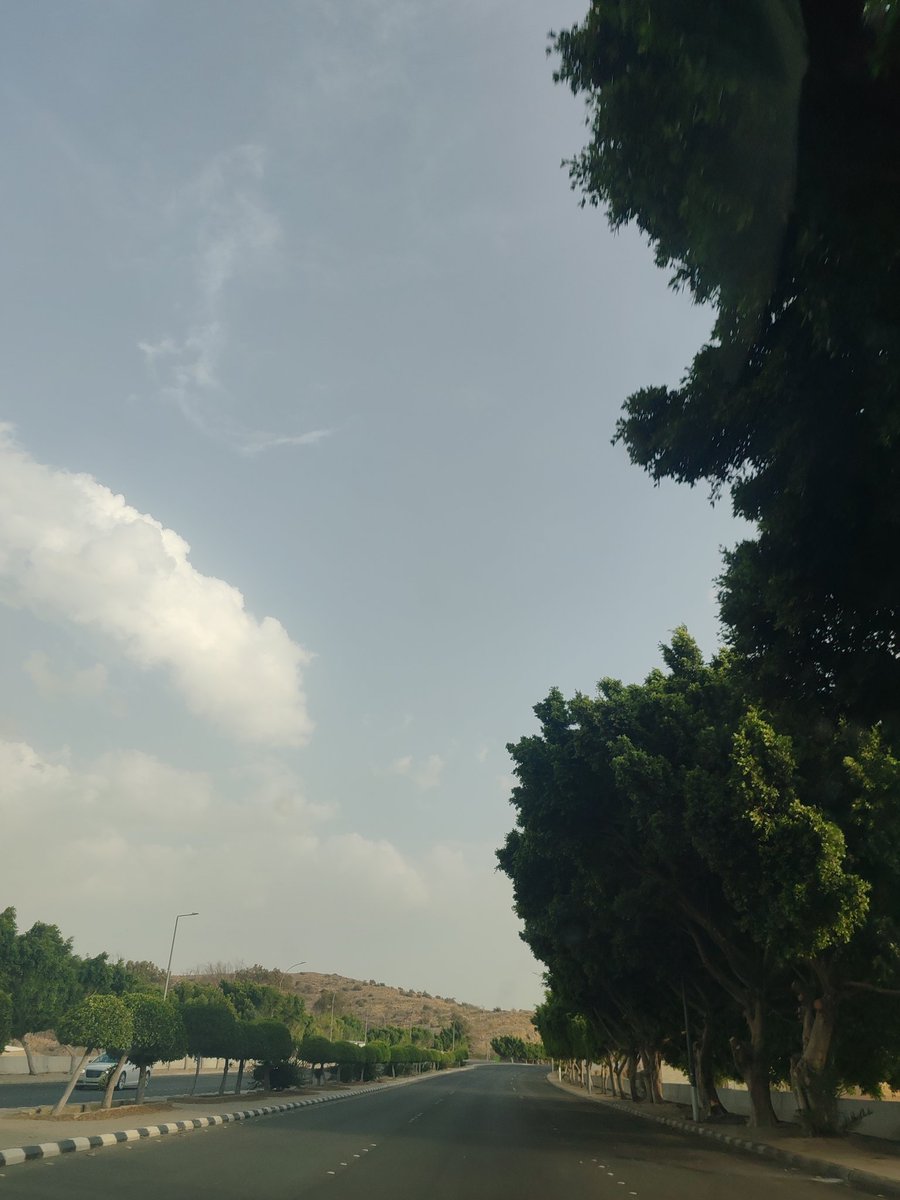 آسر tweet media