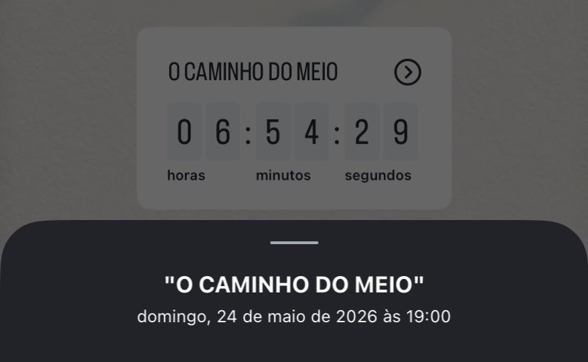 Fonte Anitta tweet media