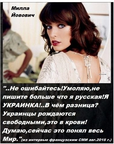Feniks tweet media
