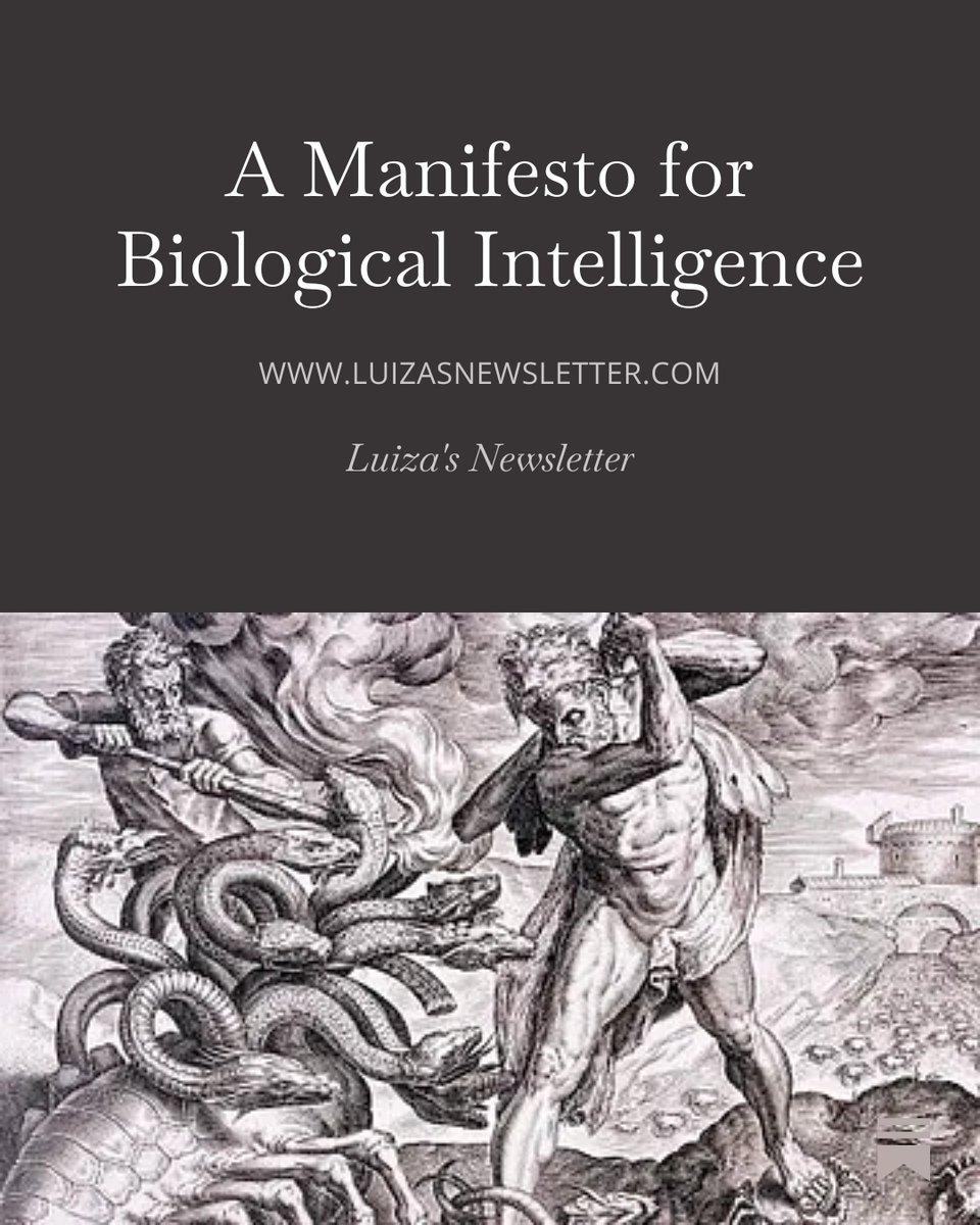 Luiza Jarovsky, PhD tweet media