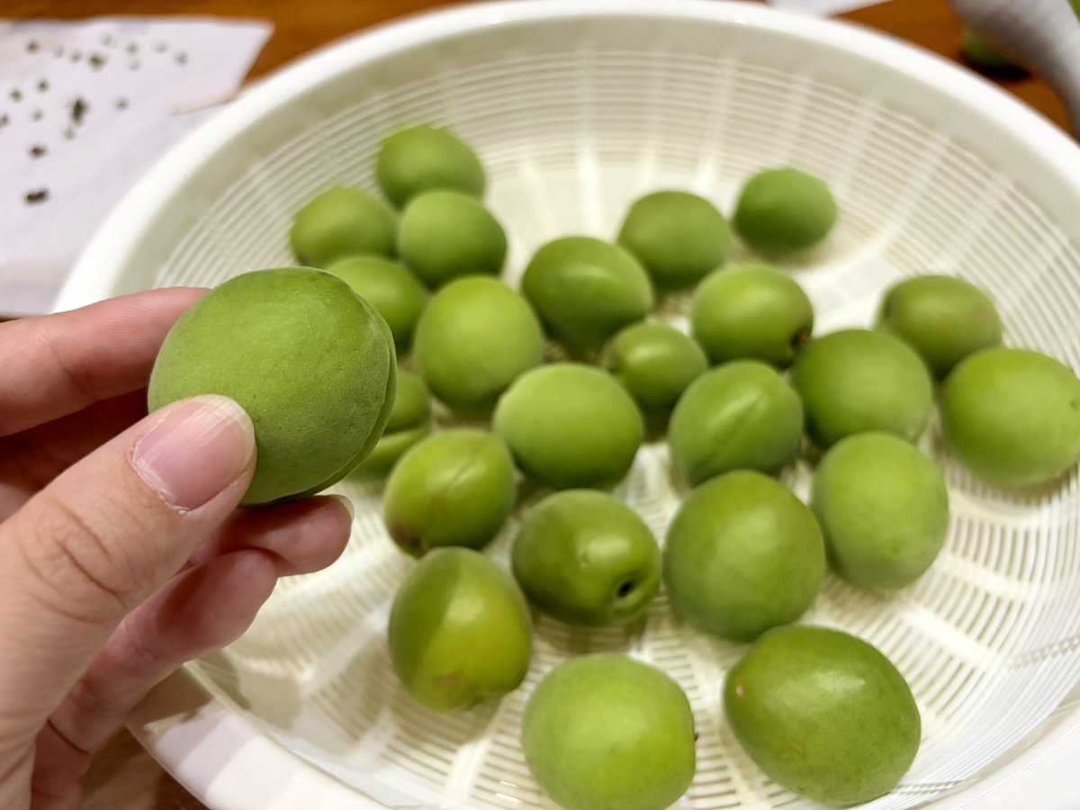 犬塚我区 tweet media