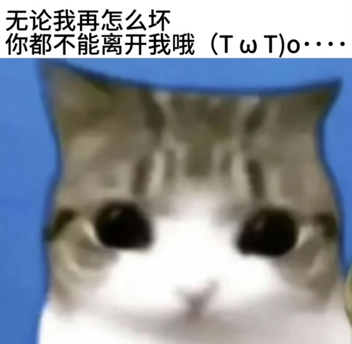 eek1k1's tweet photo. https://t.co/yurXiHTuuN