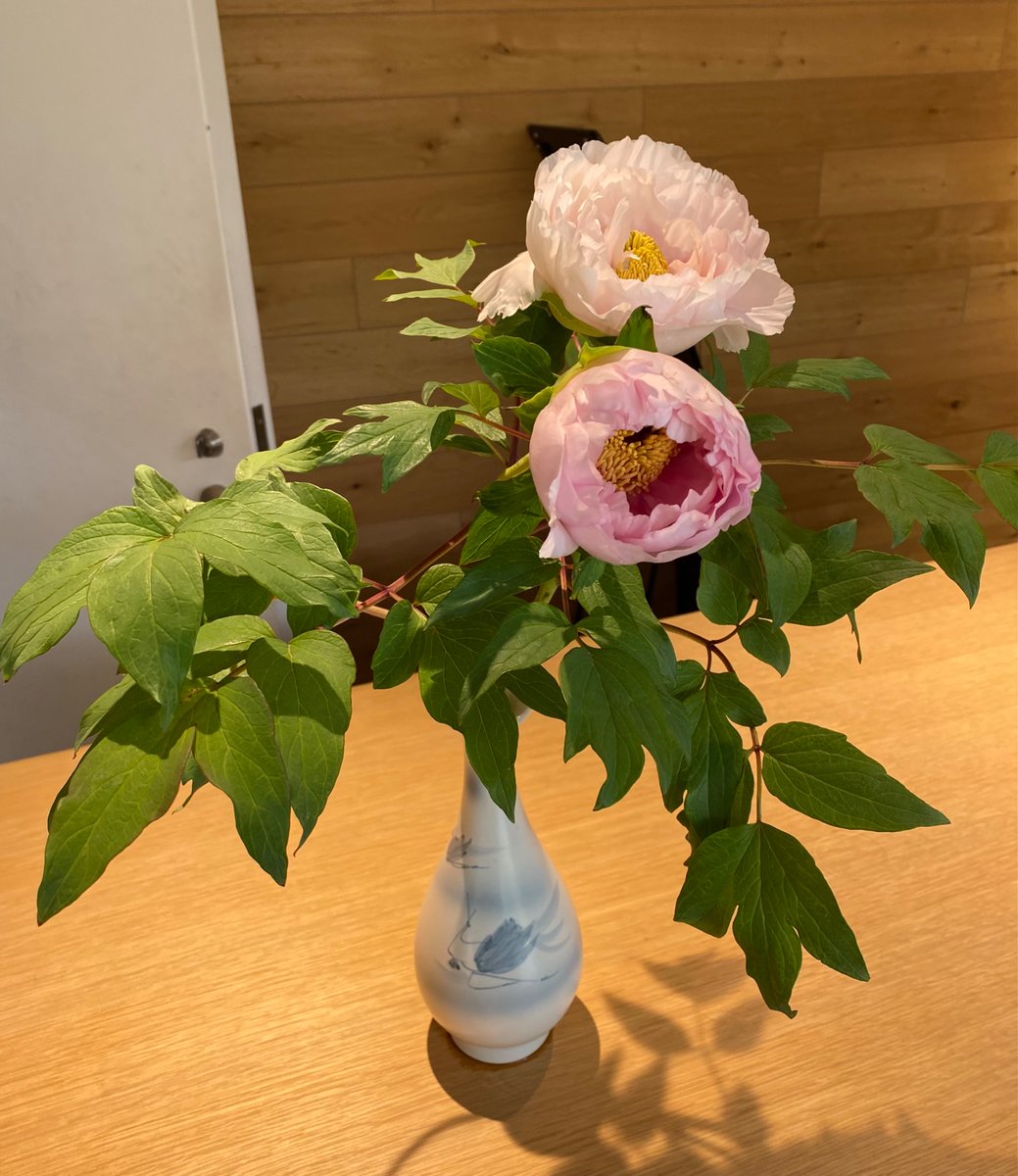 EMLLDgrn5_28's tweet photo. 職場エントランスに飾ってある
芍薬がとても綺麗です✨ https://t.co/4eKk85kDBY