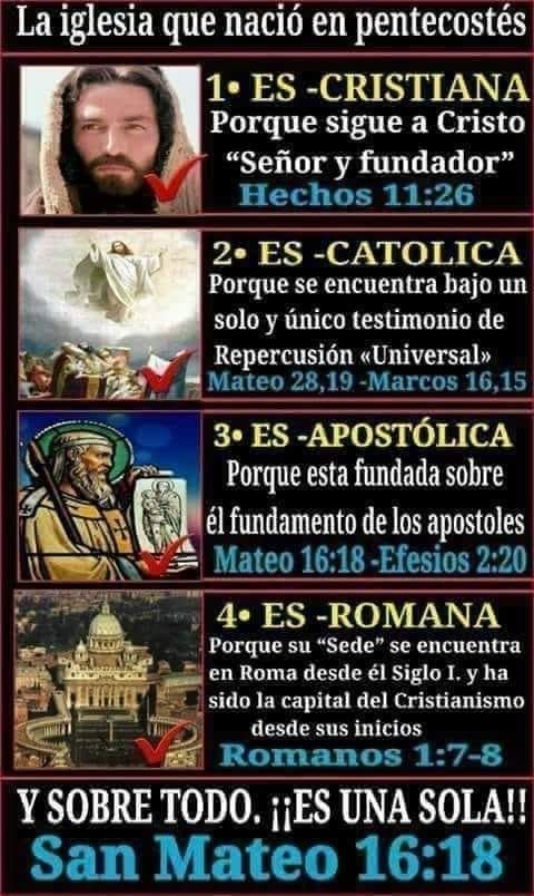 Nolbert Alfero tweet media