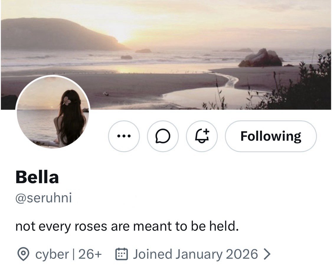 Bella tweet media