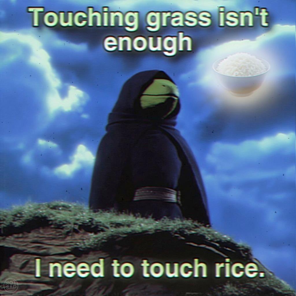 One grain of rice tweet media