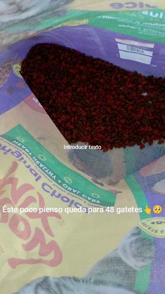 Marisa84157935's tweet photo. 🆘Pido por favor RT y AYUDA🐾
HOY @teresitaros sin casi pienso para 48 gatos rescatados
De nuevo angustia d verlos pedir y pedir y no tener nada q dar de comer😿
Necesitan comer para no enfermar.Saco de pienso para tantos sólo dura 1 semana😓
Una desazón constante💔
Bi:673270489 https://t.co/bxzAkHNRS6