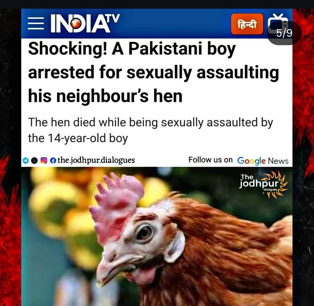 Yama tweet media