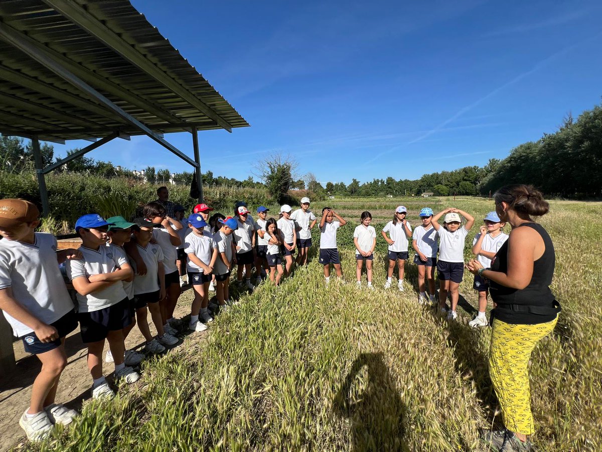 CCsanpascual's tweet photo. Hoy los alumnos de 3º y 4º de Educación Primaria de nuestro colegio han disfrutado de una fantástica actividad organizada por @aytoaranjuez acompañados de Almudena y Goyo🌱☀️

 Una experiencia muy enriquecedora en la que han aprendido, disfrutado y convivido al aire libre. 🍅🌿 https://t.co/5LMXI4bY2i